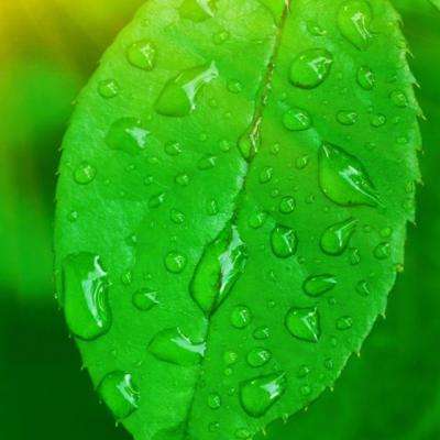 爱游戏ayx体育登录下载手机版